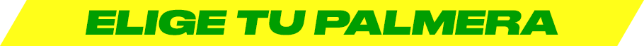 Elige tu palmera