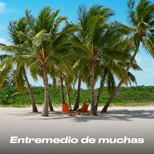 Entremedio de muchas